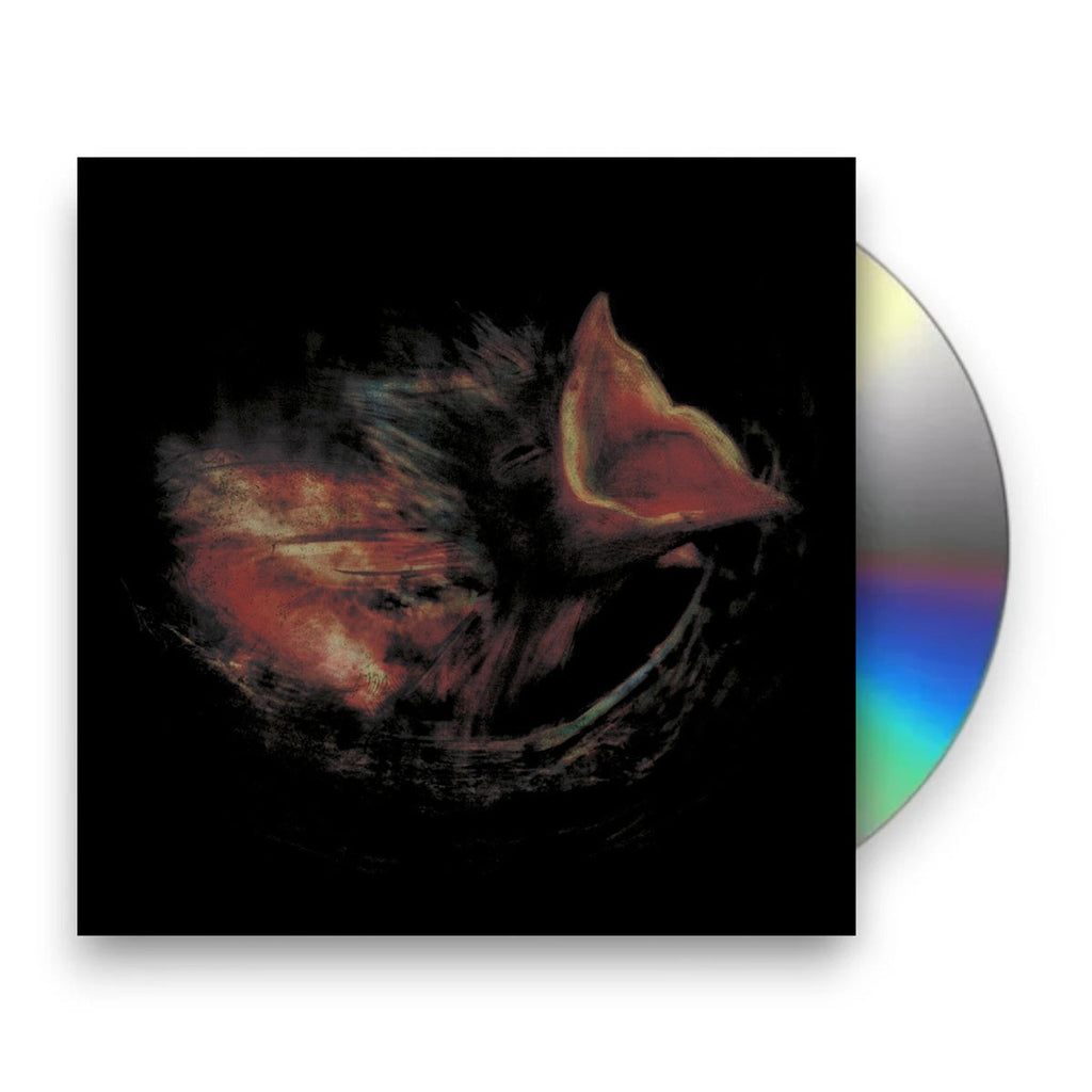 Gurriers – Nobody's Coming To Save You (CD)