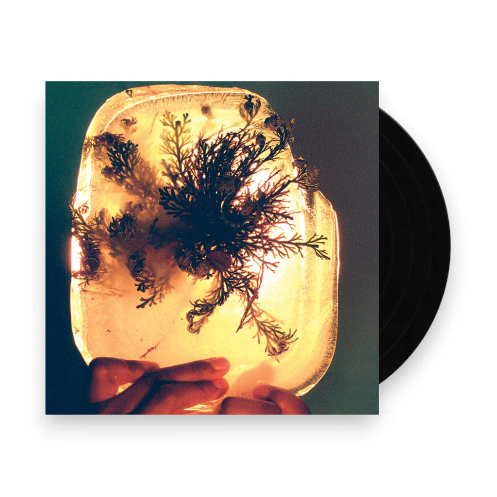 L'Rain – Fata Morgana (LP Vinyl)