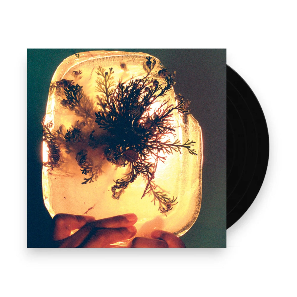 L'Rain – Fata Morgana (LP Vinyl)