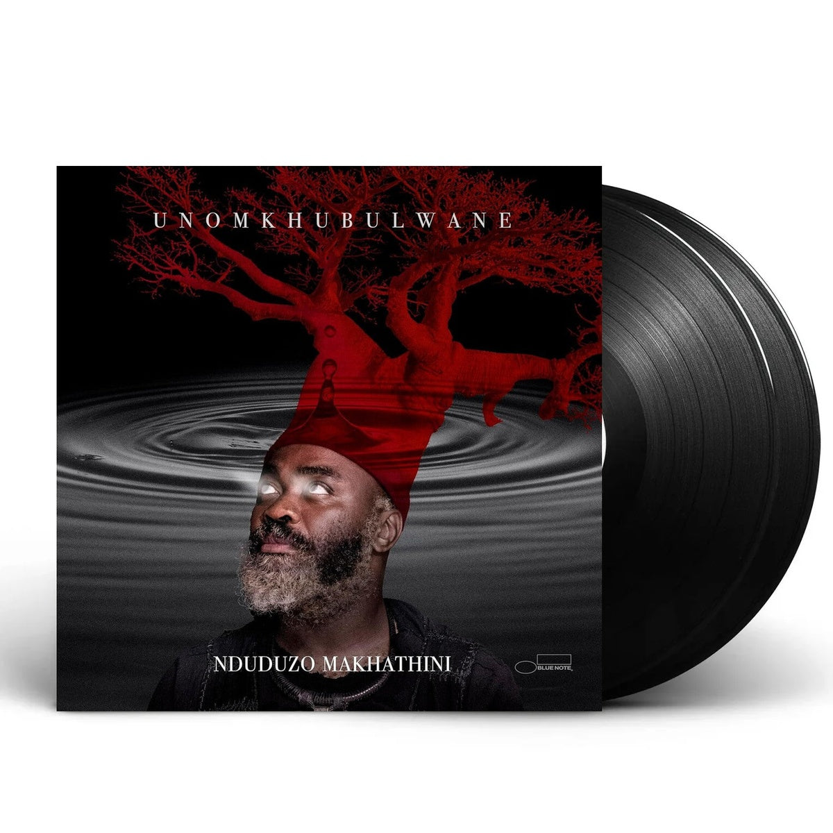 Nduduzo Makhathini – Unomkhubulwane (2-LP Vinyl)
