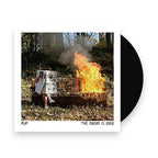 Pup – Dream Is Over (LP Vinyl)