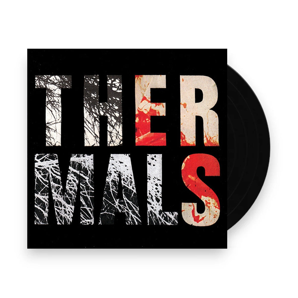 The Thermals – Desperate Ground (LP Vinyl)